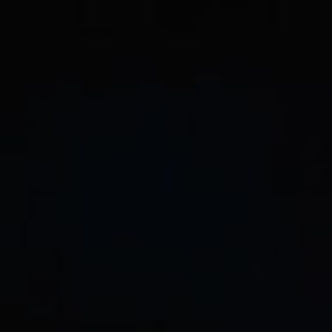 Meet your Posher, Willis